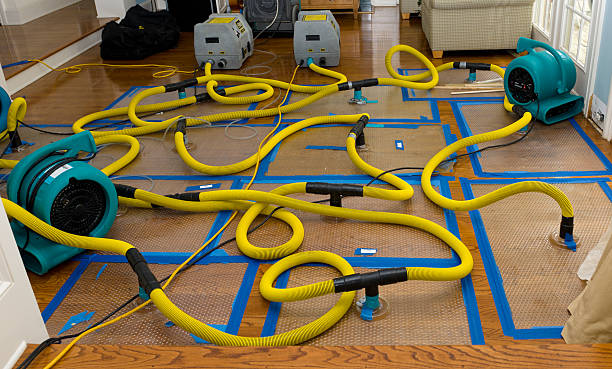 Professional Structural Drying And Dehumidification technician working in Randolph, UT